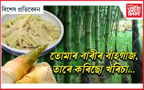 "খৰিচা" সোৱাদেই নহয়,বহু আছে উপকাৰিতা...